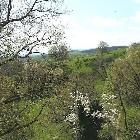 Saint-Péray Gite Les Cadichons De La Grange מראה חיצוני תמונה
