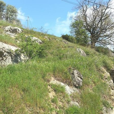 Saint-Péray Gite Les Cadichons De La Grange מראה חיצוני תמונה