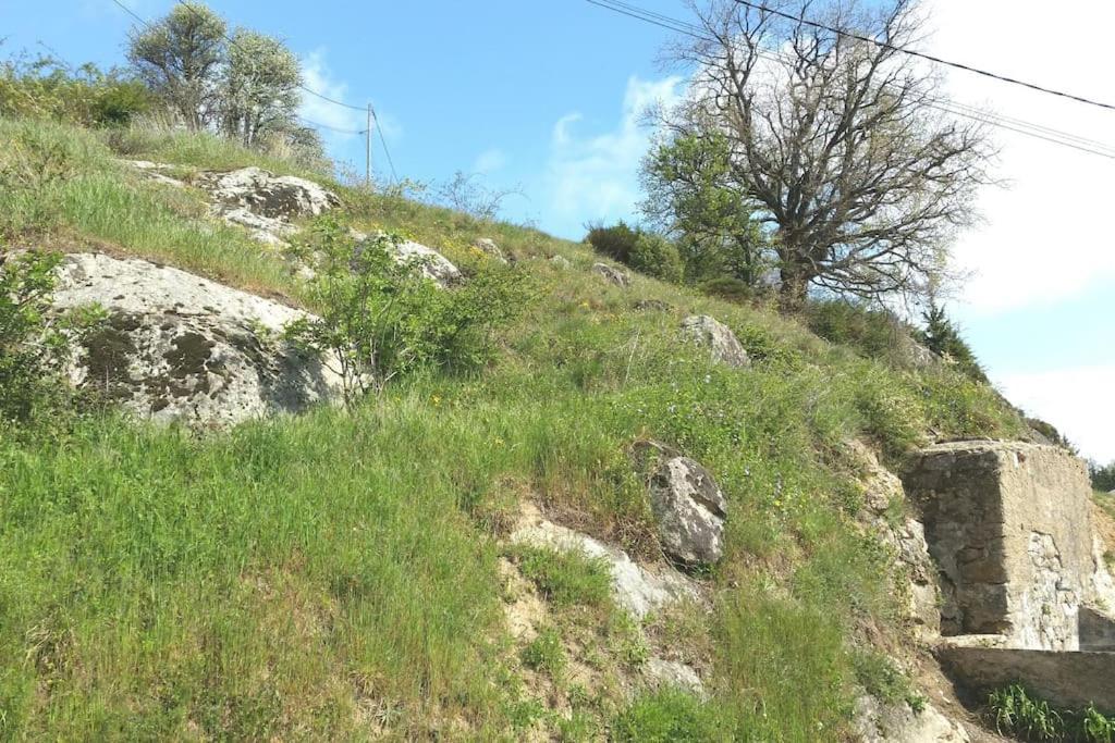 Saint-Péray Gite Les Cadichons De La Grange מראה חיצוני תמונה